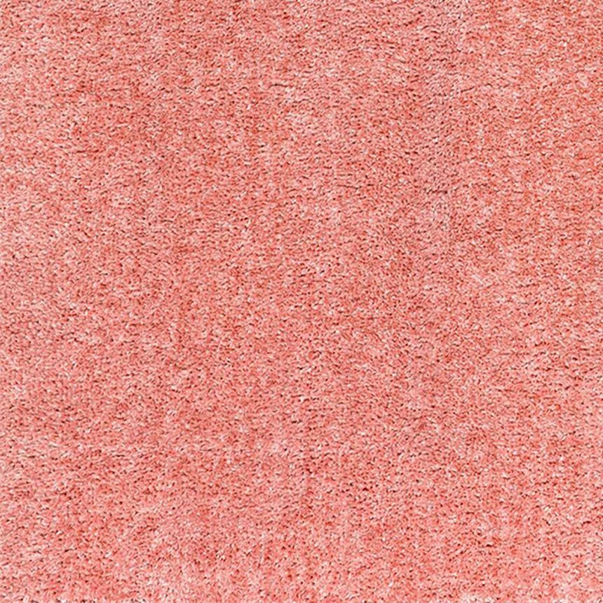 Claire Shaggy Solid Color Plush Pile Coral Rug