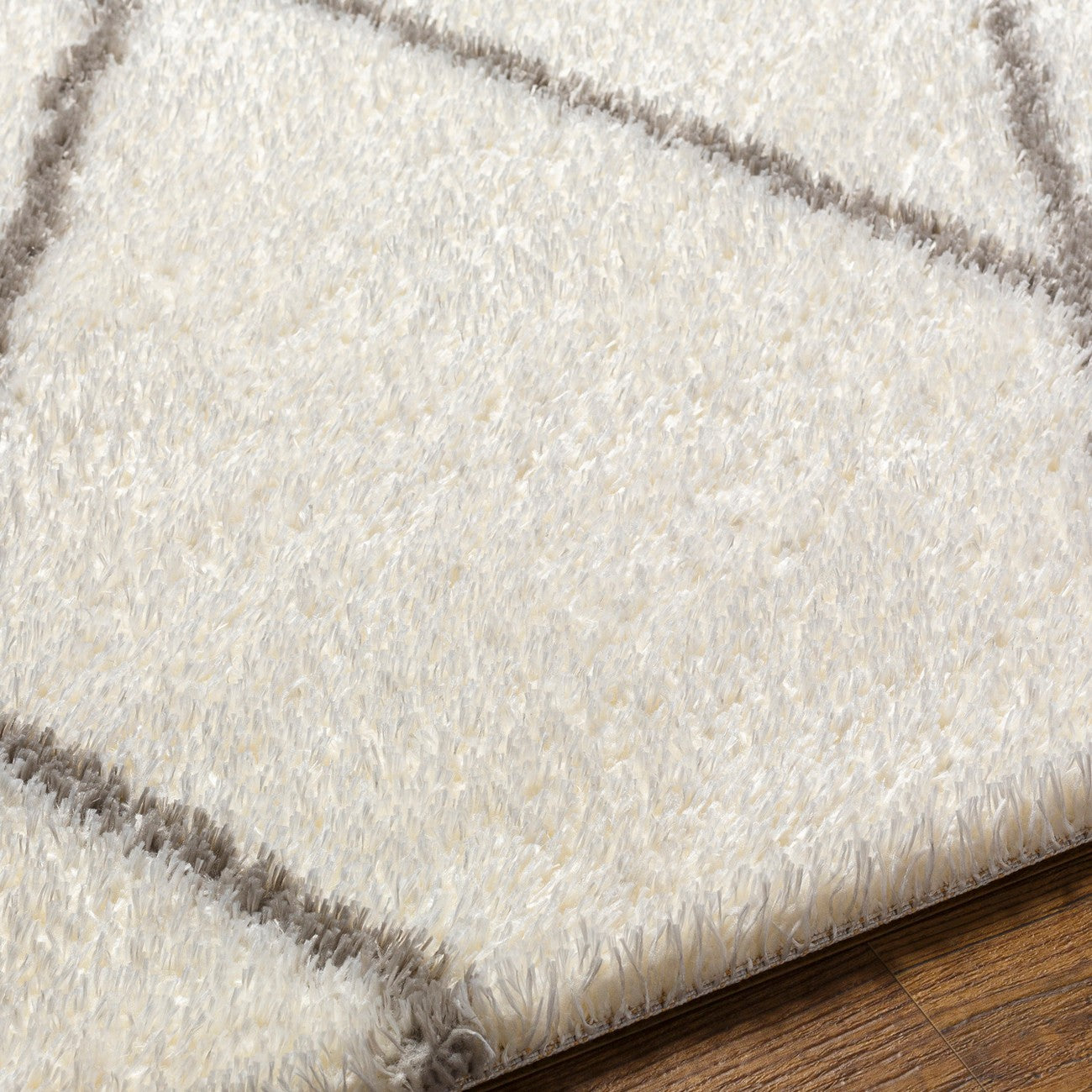 JUNO Shaggy Modern Plush Pile Ivory Area Rug Texture