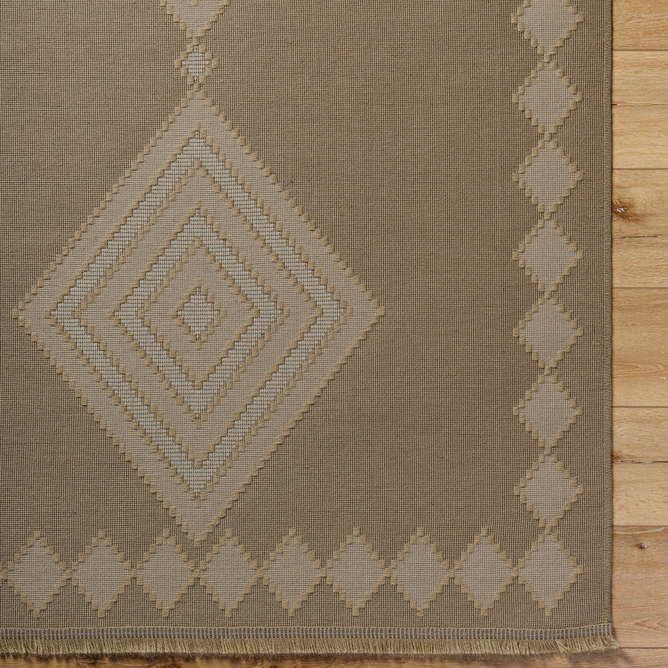 KEYURI Cottage Tan/Light Beige Machine Washable Jute Area Rug Overhead