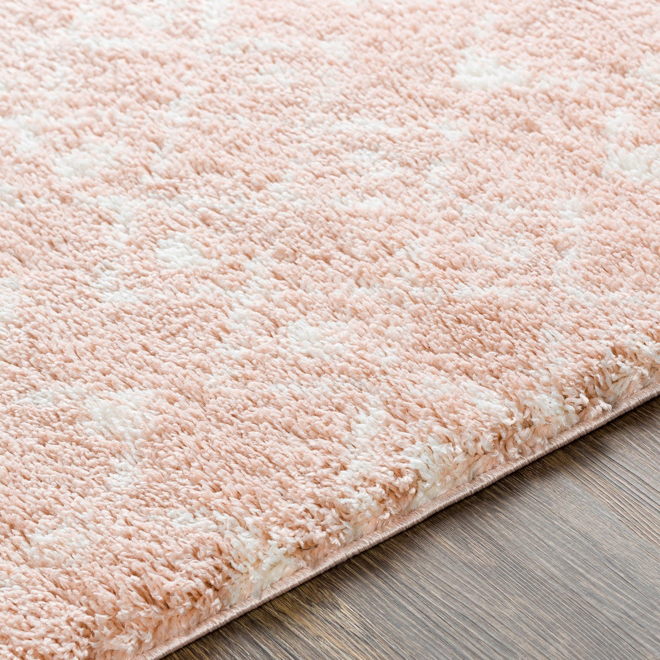 SAANJH Shaggy Global Plush Pile Blush Area Rug Texture