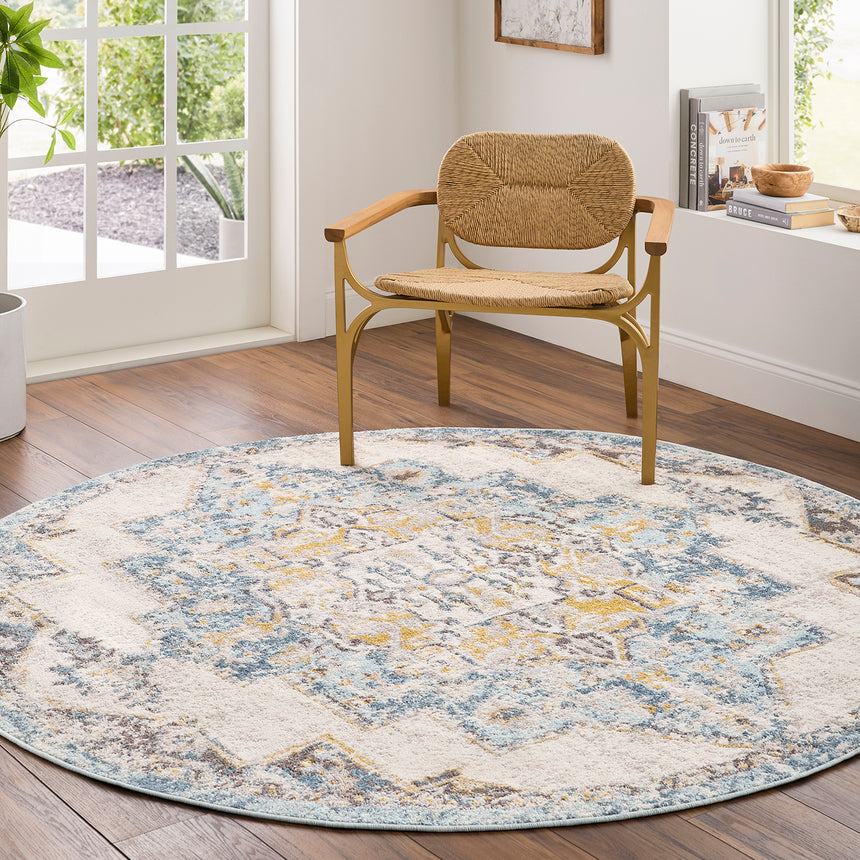 Agra Vintage Oriental Boho Sky Blue Rug