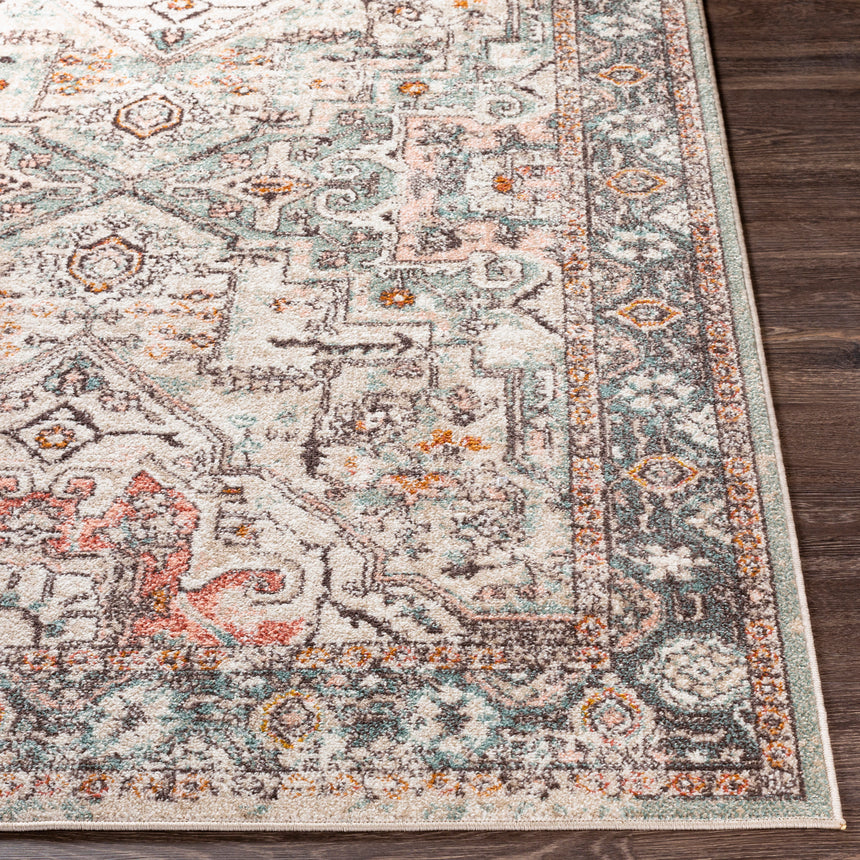 Dia Vintage Oriental Boho Brick Rug - Image 5