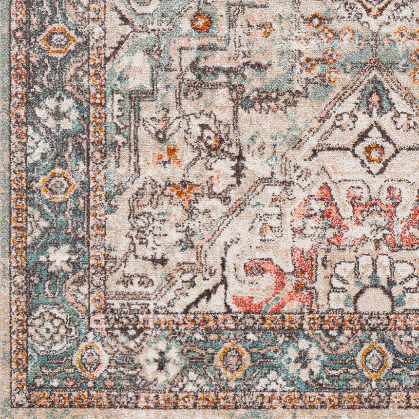 Dia Vintage Oriental Boho Brick Rug - Image 7