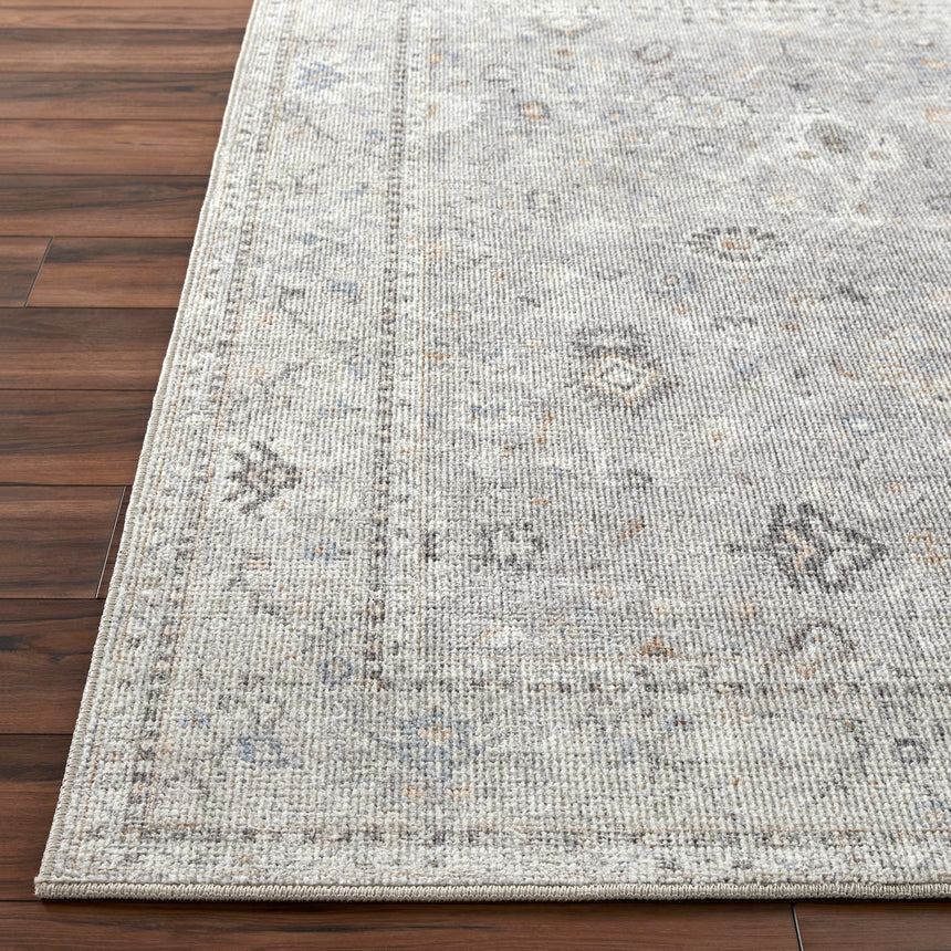 Davina Becki Owens x Livabliss Vintage Oriental Boho Light Grey Rug - Image 5