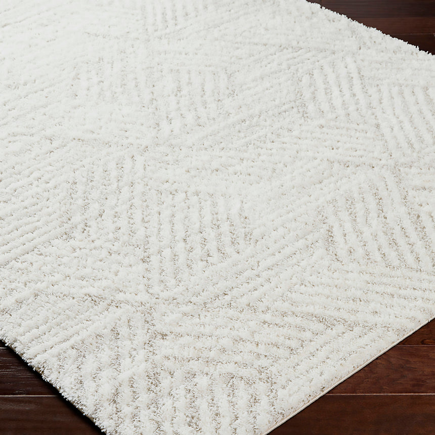 Allie Shaggy Geometric Plush Pile Beige Rug