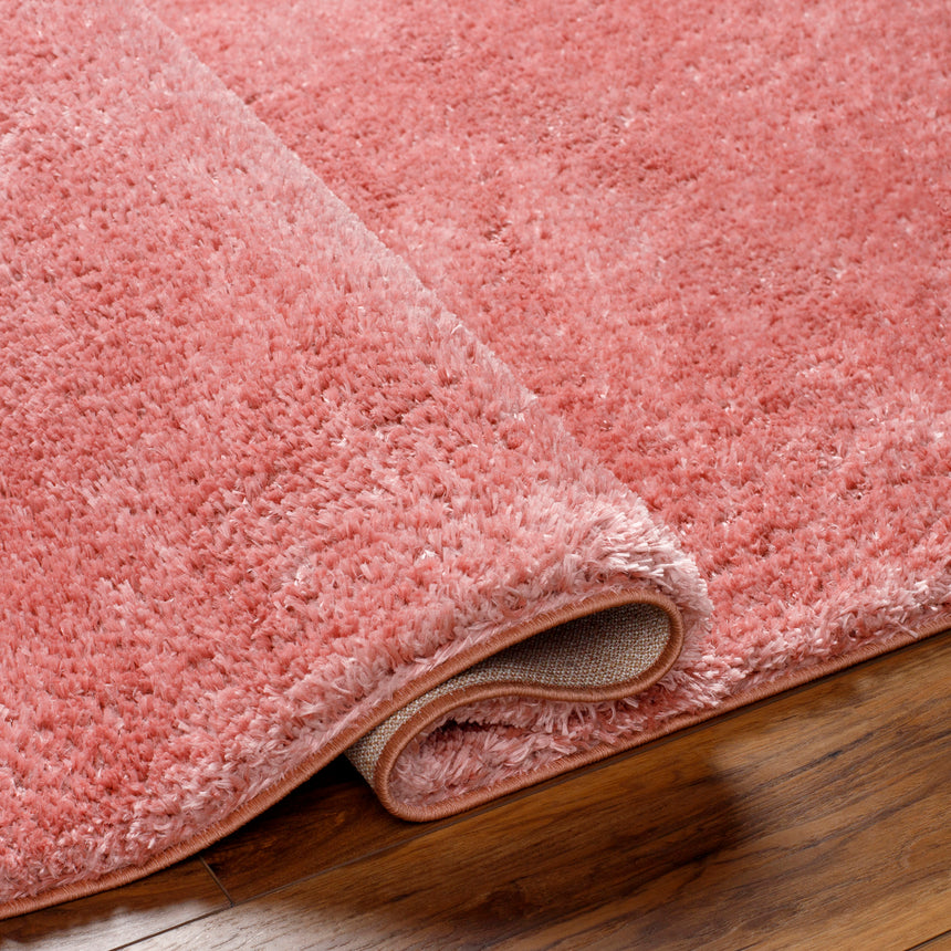Claire Shaggy Solid Color Plush Pile Coral Rug