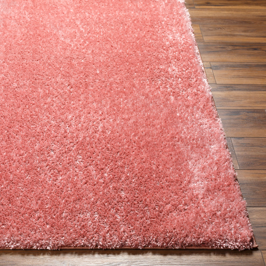 Claire Shaggy Solid Color Plush Pile Coral Rug