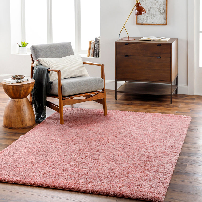 Claire Shaggy Solid Color Plush Pile Coral Rug