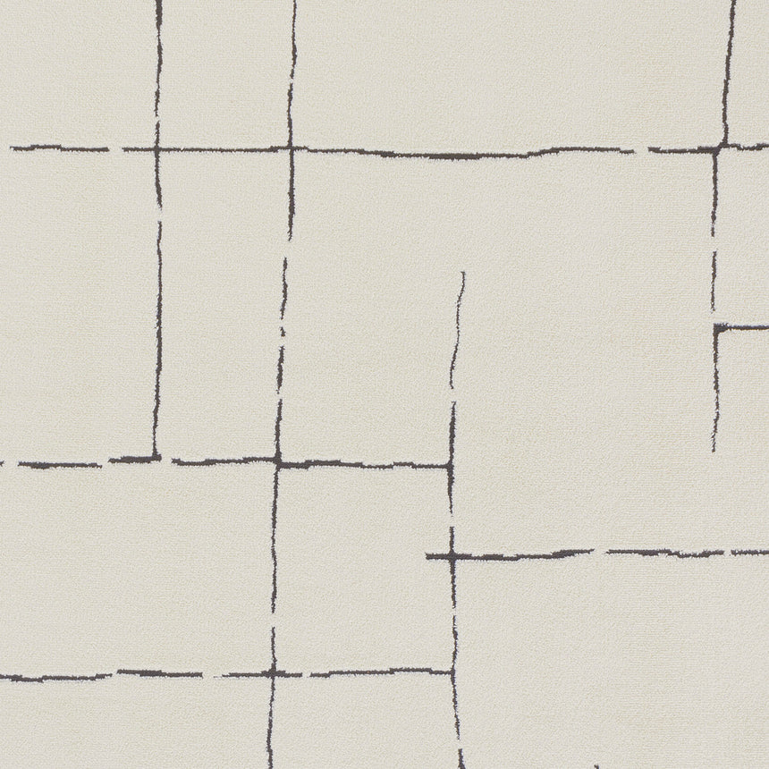 Ava Scandi Modern High Pile Ivory/Black Rug