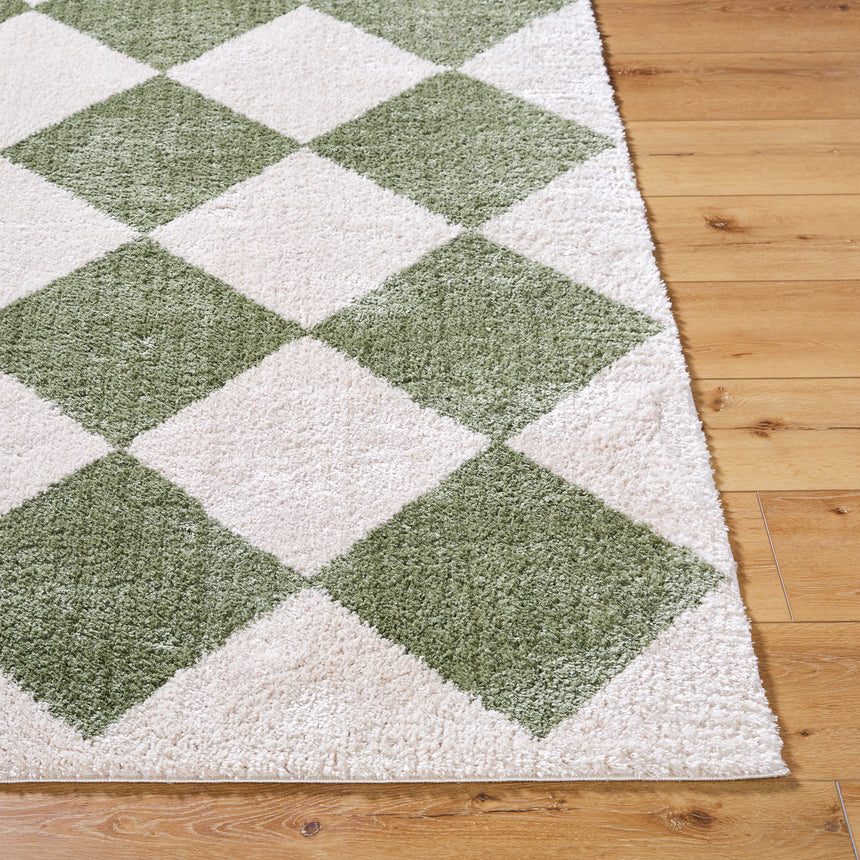 Deline Machine Washable Modern Shaggy Grass Green Rug