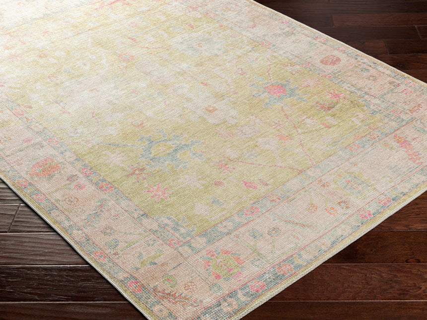 Amari Machine Washable Traditionnal Boho Sage Rug