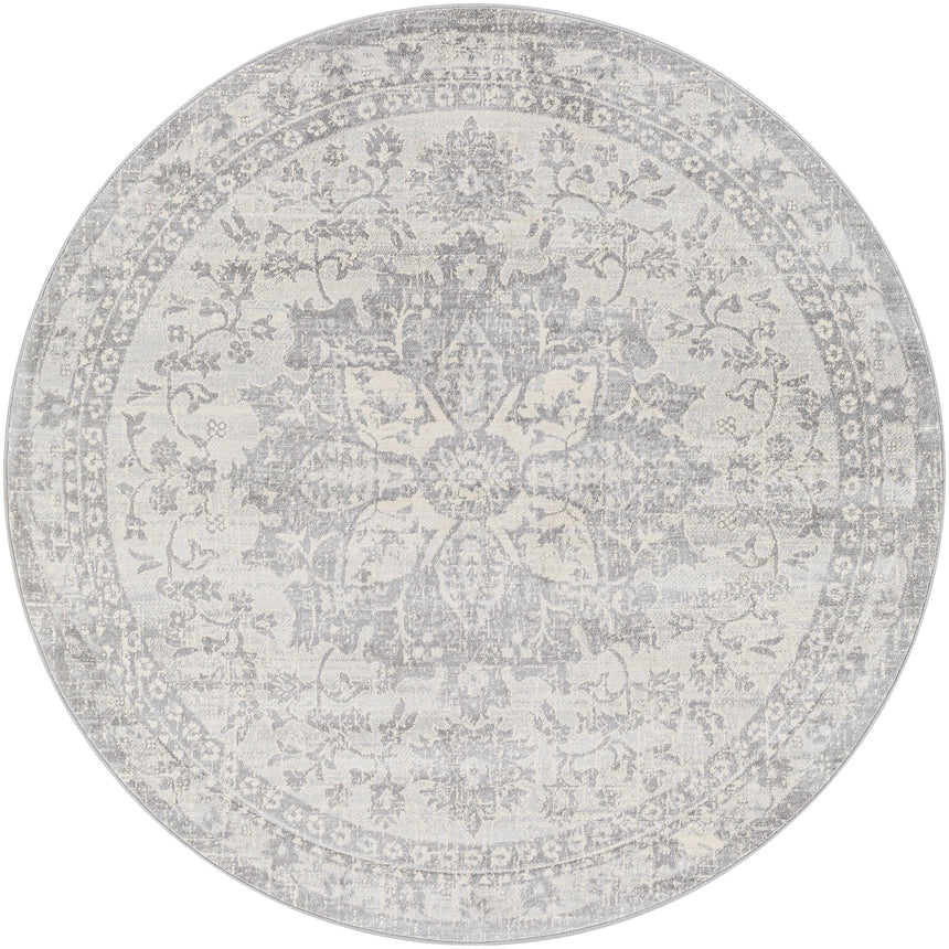 Sage Vintage Oriental Boho Medium Grey Rug