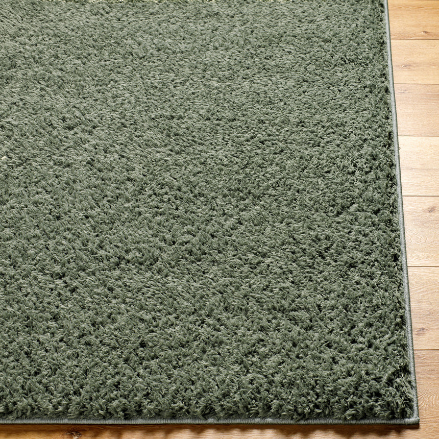 Soso Shaggy Solid Color Plush Pile Green Rug