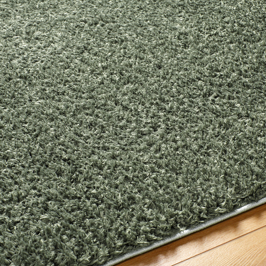 Soso Shaggy Solid Color Plush Pile Green Rug