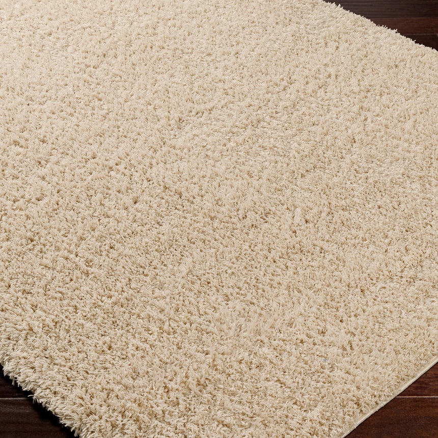 Soso Shaggy Solid Color Plush Pile Beige Rug