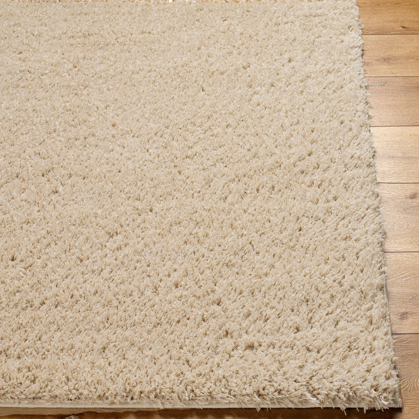 Soso Shaggy Solid Color Plush Pile Beige Rug