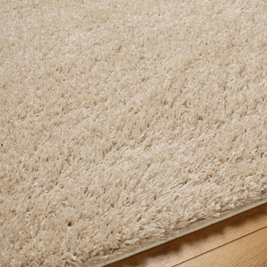 Soso Shaggy Solid Color Plush Pile Beige Rug