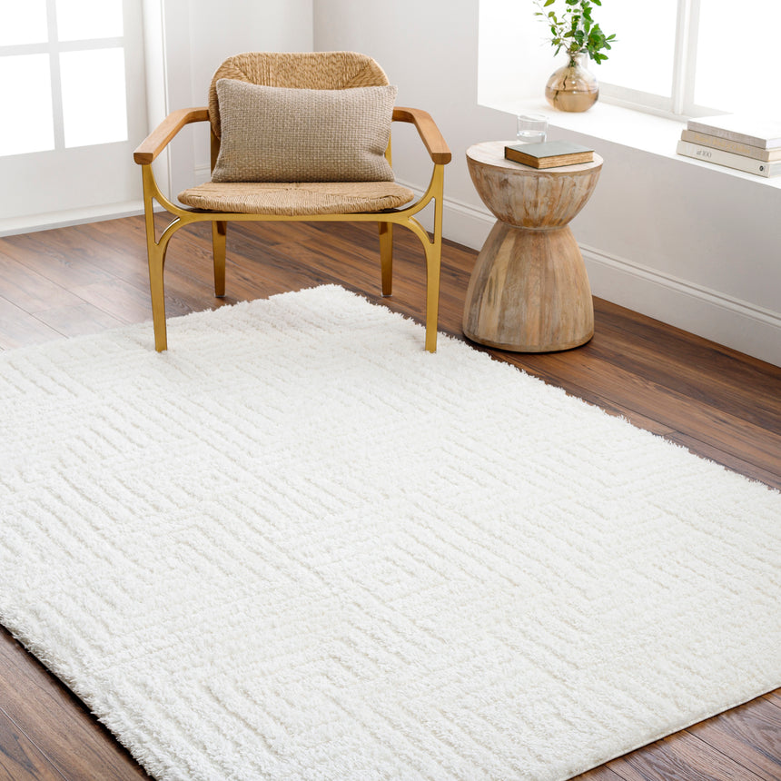 Dariana Shaggy Modern Plush Pile Ivory Rug - Image 2