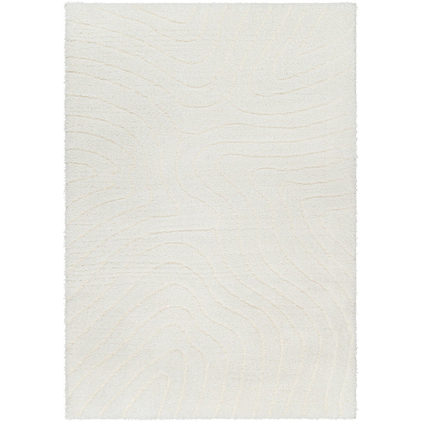 Danae Shaggy Modern Plush Pile Light Beige Rug - Image 1