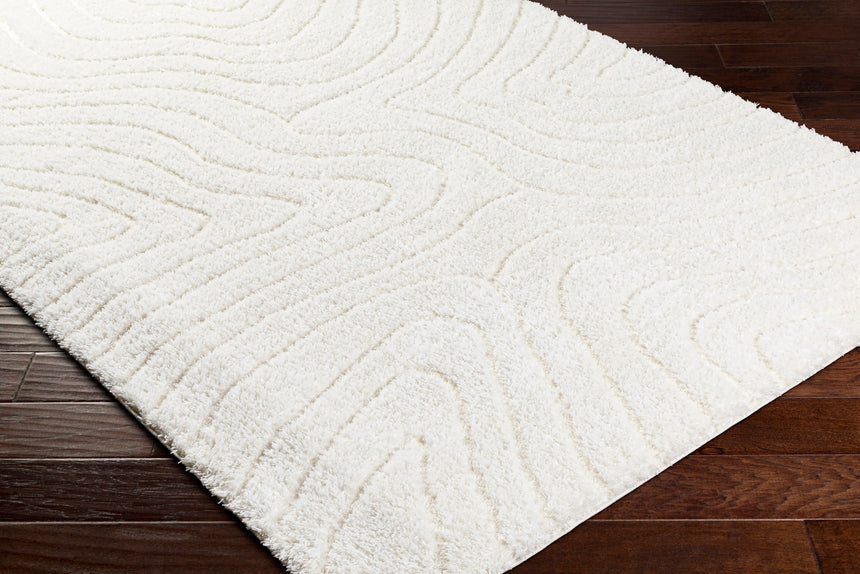 Danae Shaggy Modern Plush Pile Light Beige Rug - Image 5