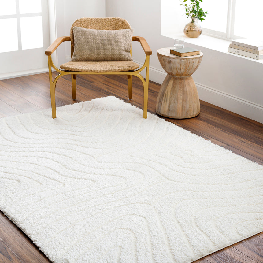Danae Shaggy Modern Plush Pile Light Beige Rug - Image 2
