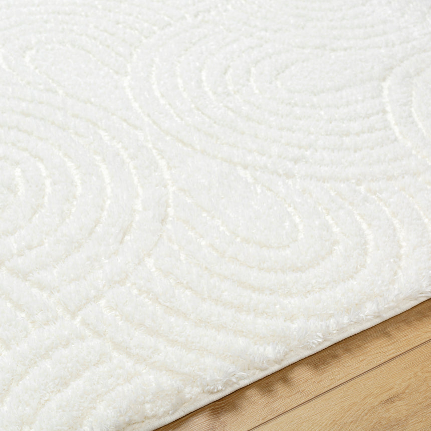 Runa Shaggy Modern Plush Pile Light Beige/Ivory Rug