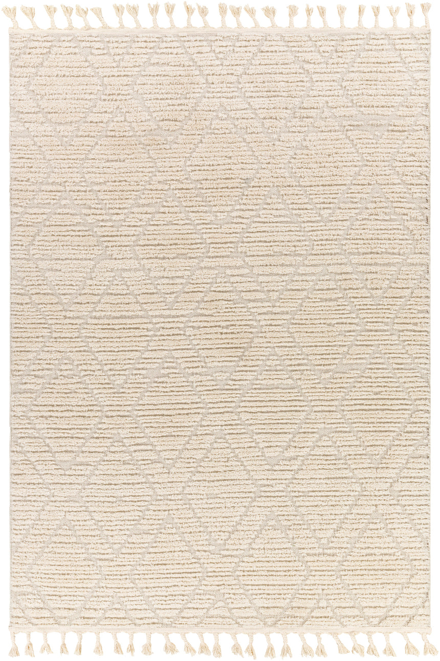 Jasmine Berber Geometric High Pile Beige Rug
