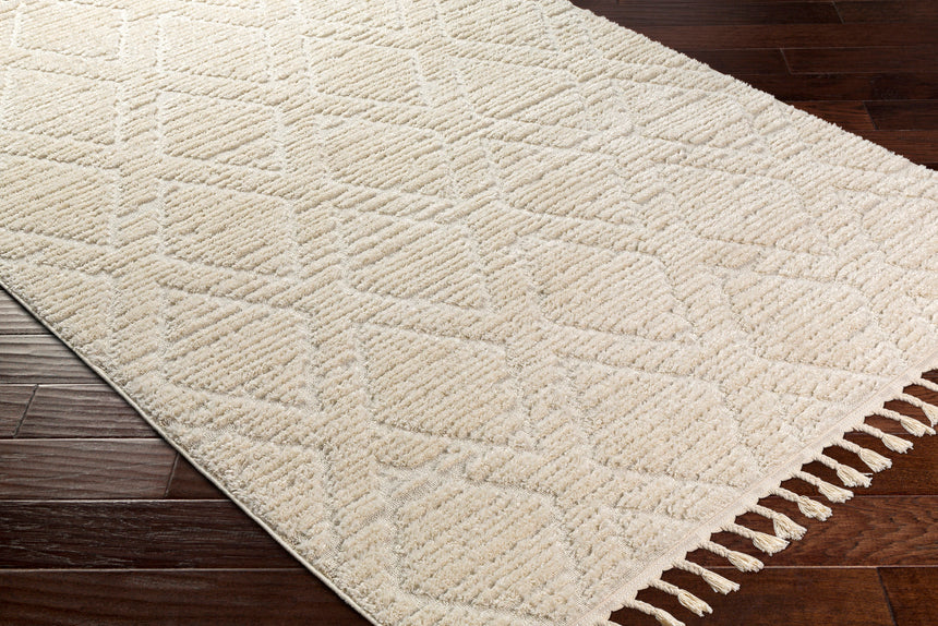 Jasmine Berber Geometric High Pile Beige Rug