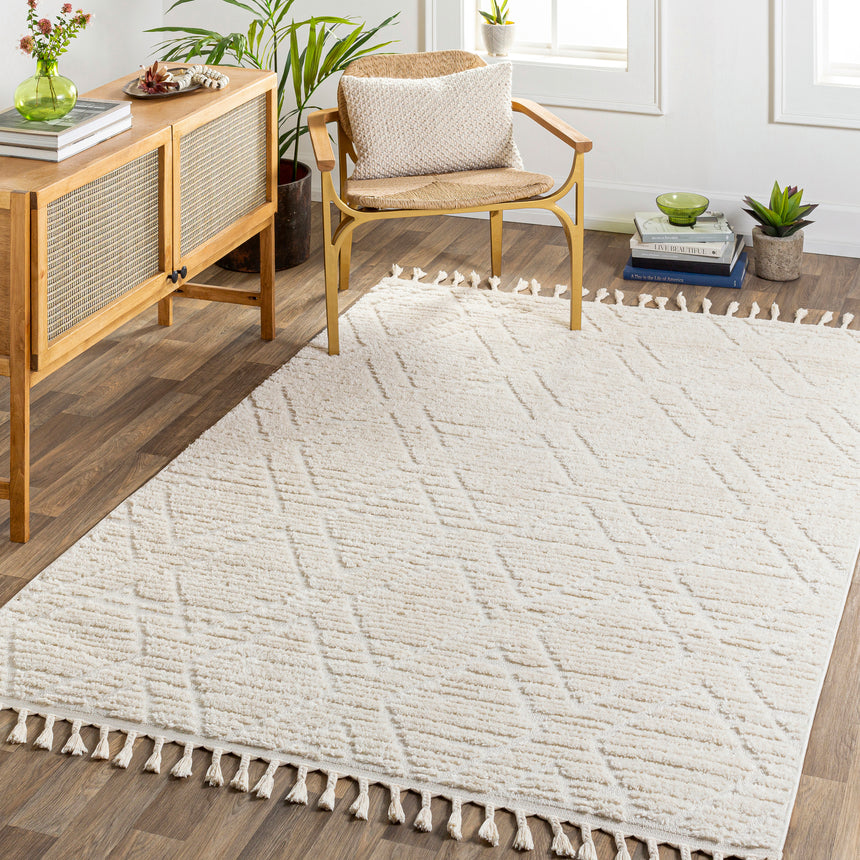 Jasmine Berber Geometric High Pile Beige Rug