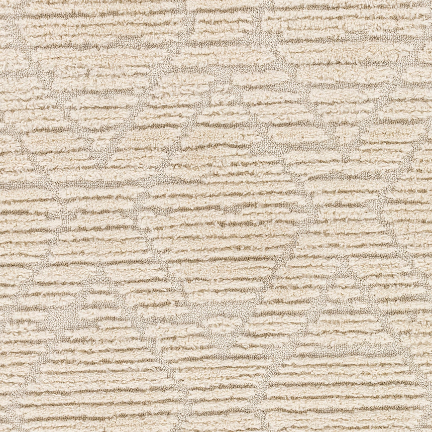 Jasmine Berber Geometric High Pile Beige Rug