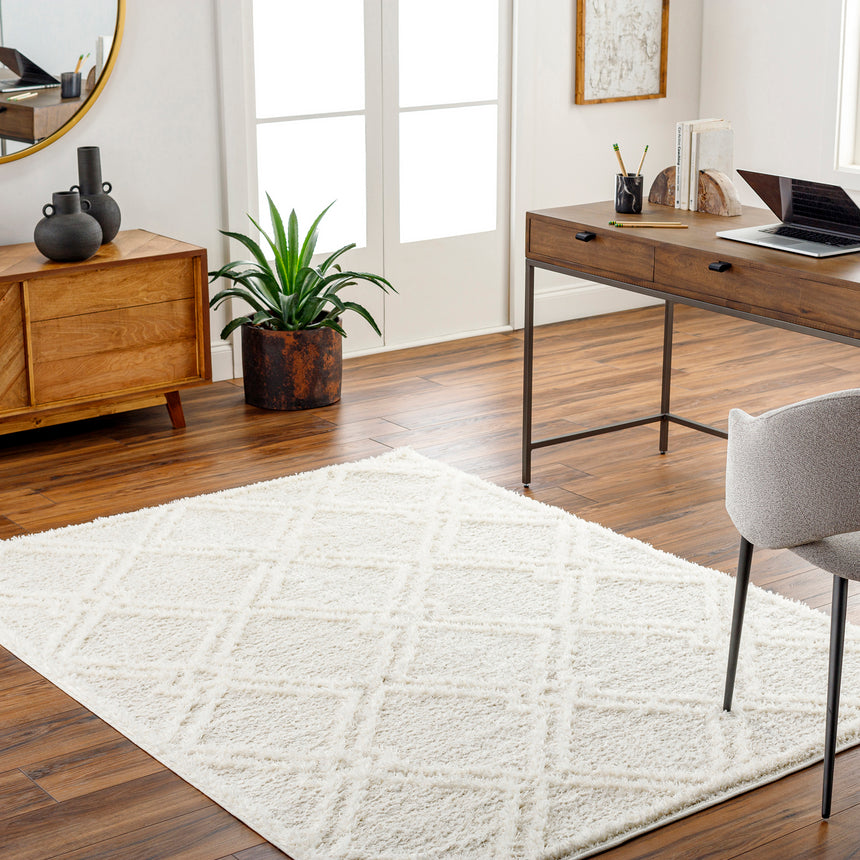 Afarin Shaggy Modern Plush Pile Light Grey Rug