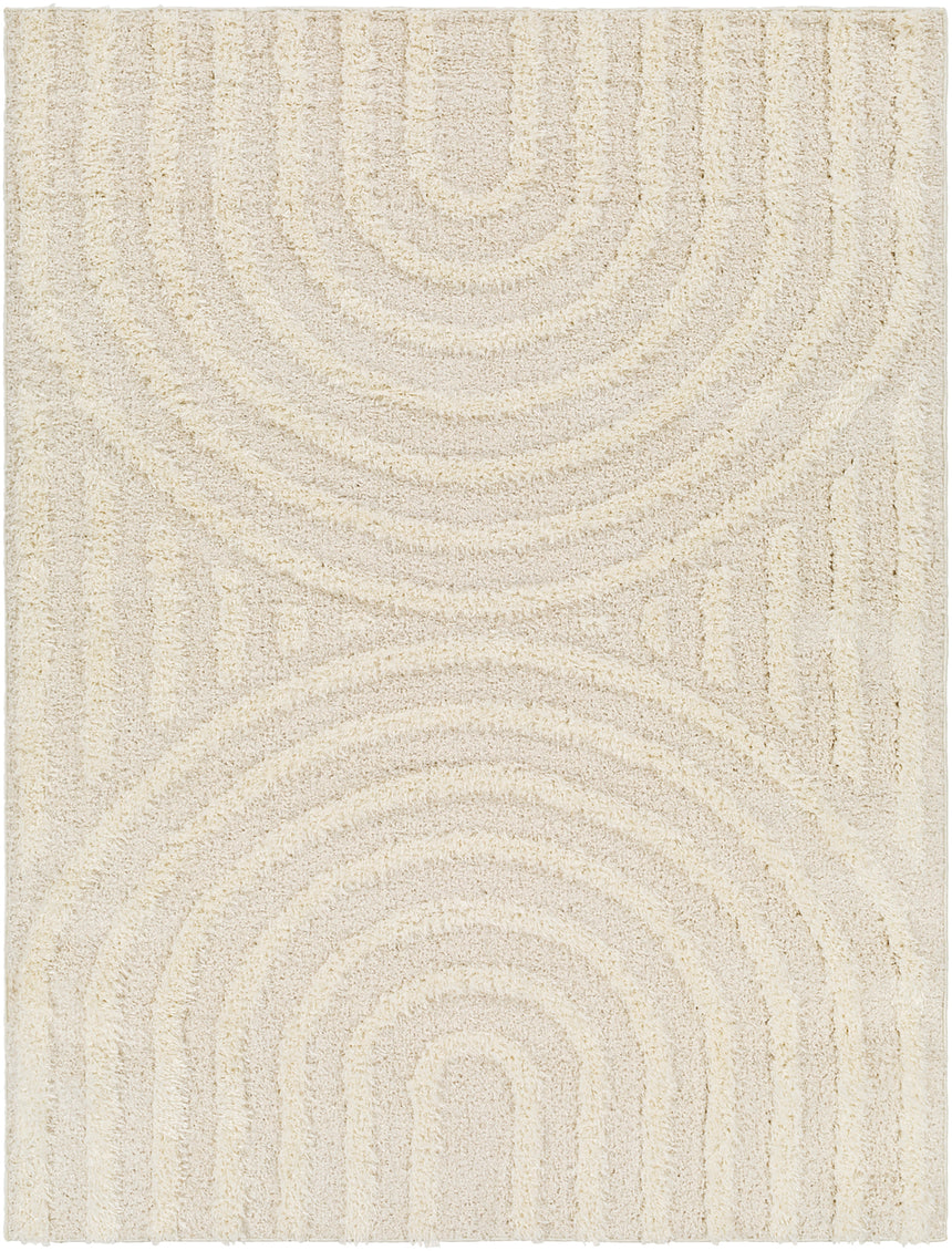 Marava Shaggy Modern Plush Pile Light Grey Rug