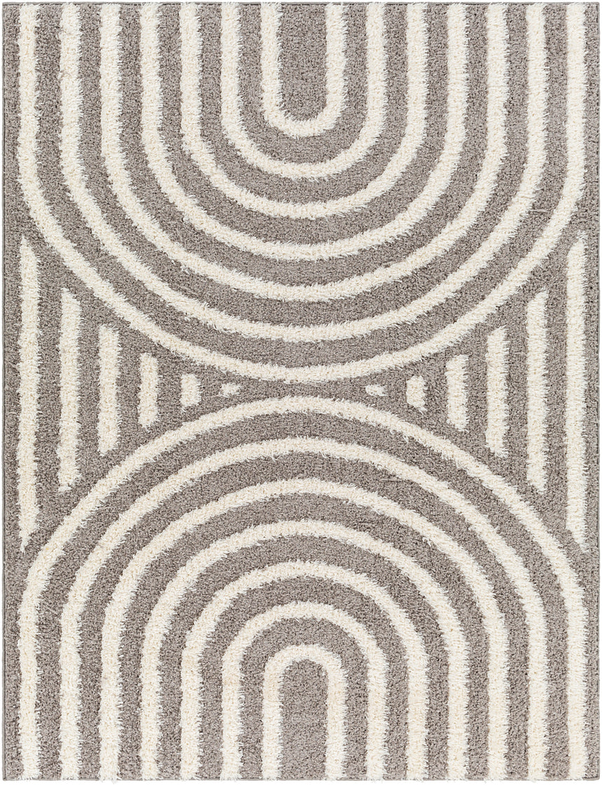 Marava Shaggy Modern Plush Pile Charcoal Rug