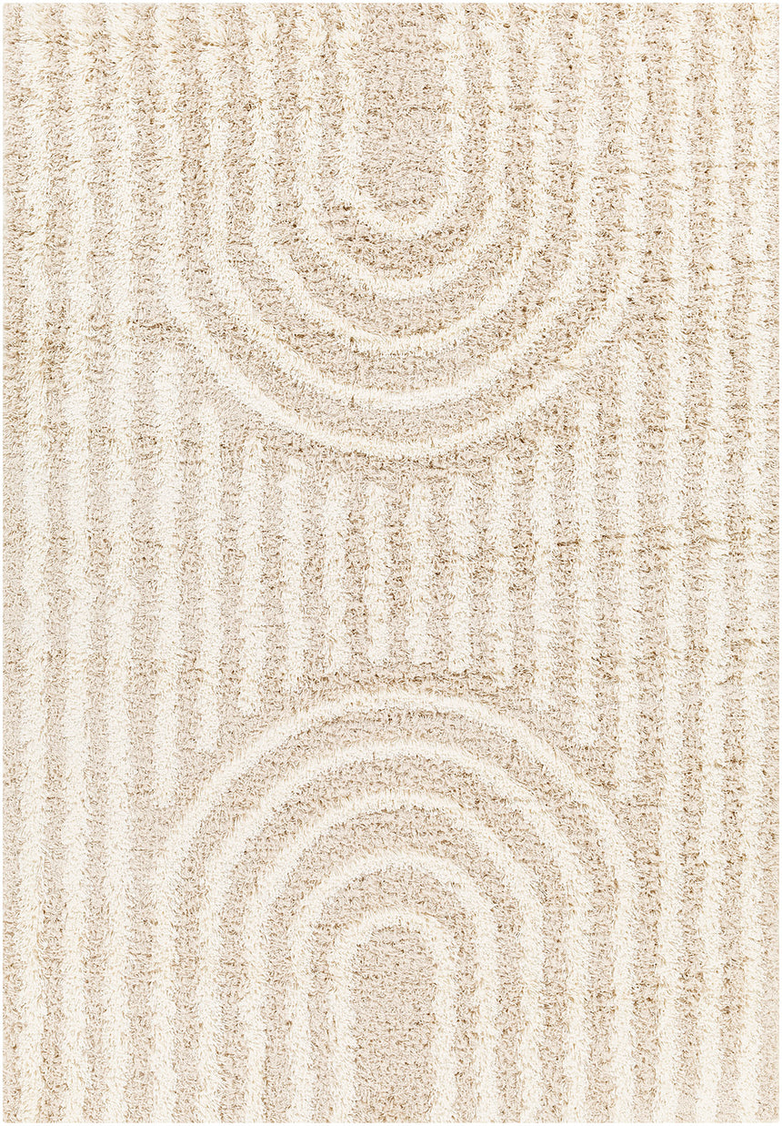 Christina Shaggy Modern Plush Pile Beige Rug