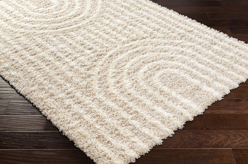 Christina Shaggy Modern Plush Pile Beige Rug