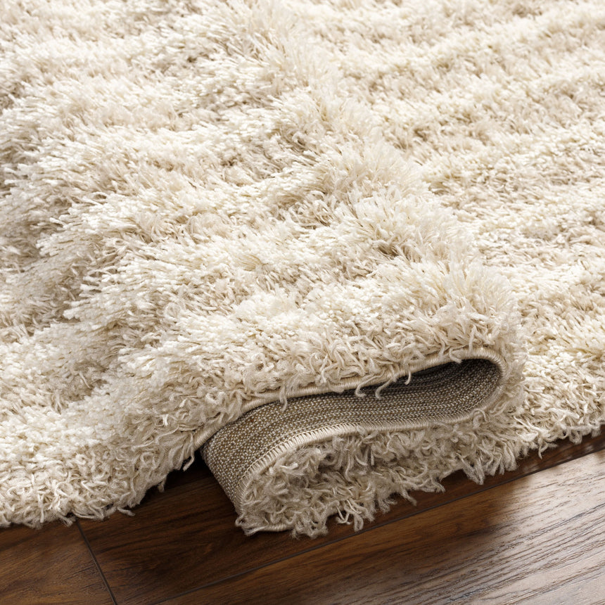 Christina Shaggy Modern Plush Pile Beige Rug