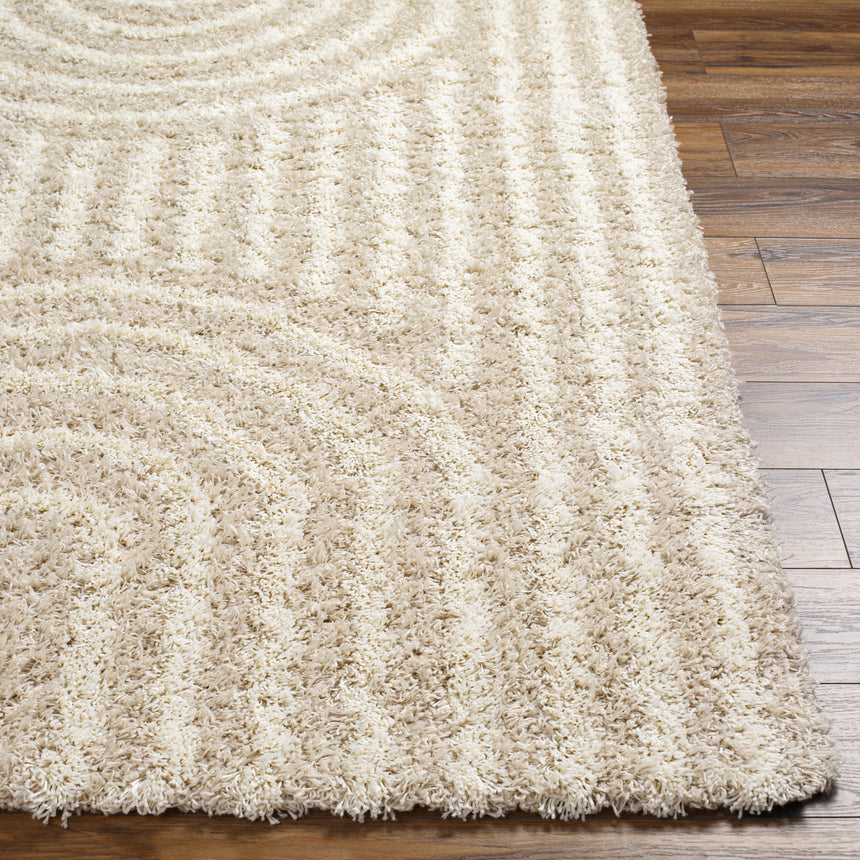 Christina Shaggy Modern Plush Pile Beige Rug