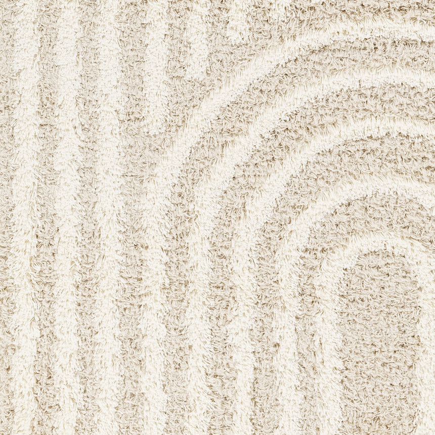 Christina Shaggy Modern Plush Pile Beige Rug