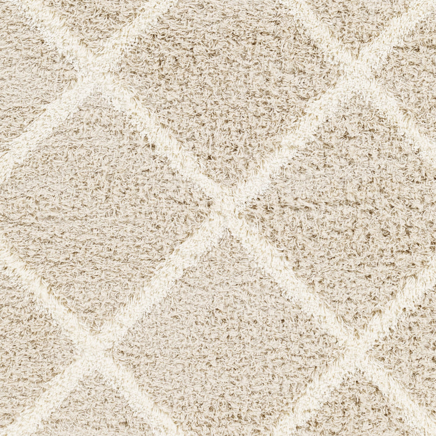 Jane Shaggy Cottage Plush Pile Beige Rug