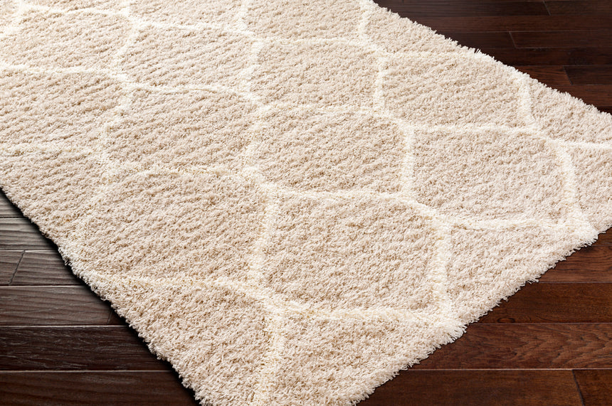 Judy Shaggy Cottage Plush Pile Beige Rug