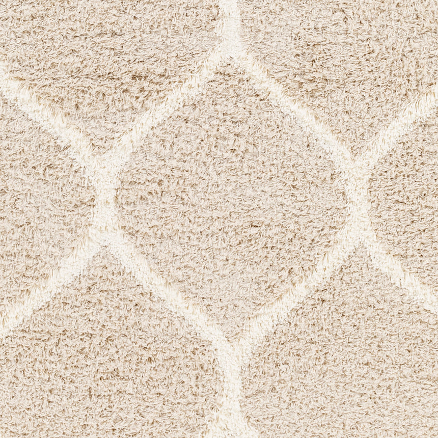 Judy Shaggy Cottage Plush Pile Beige Rug