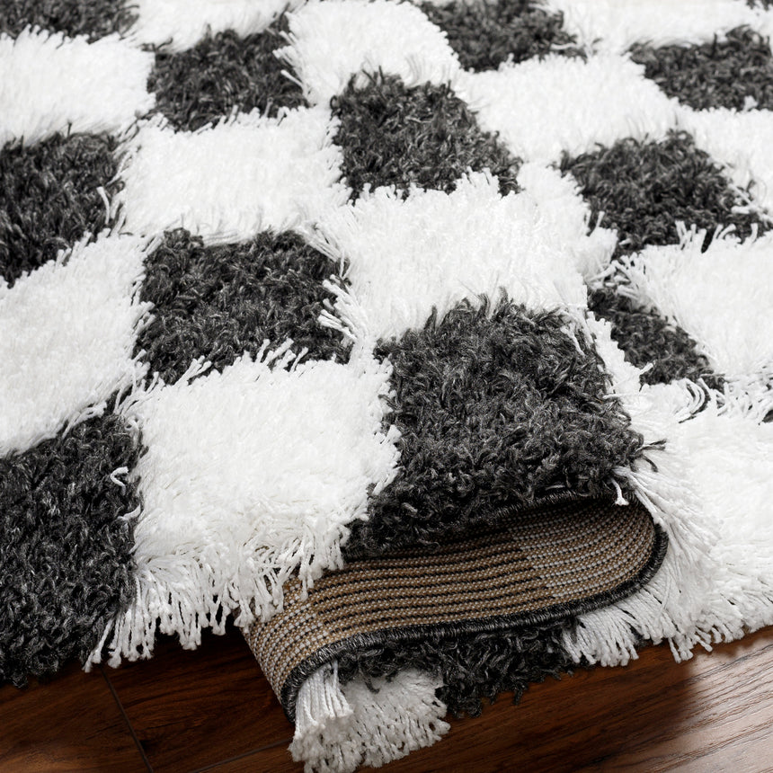 Willa Shaggy Modern Plush Pile Black Checkered Rug