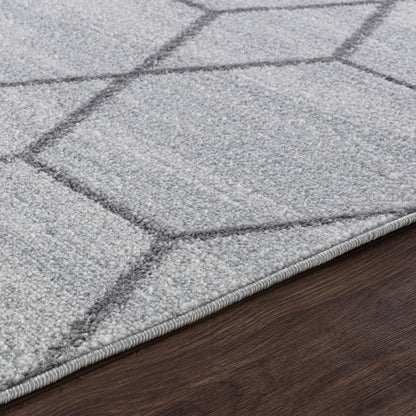 AANSHAL Scandi Geometric White Area Rug Texture