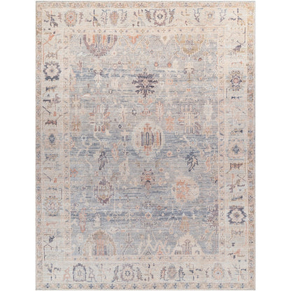 AANSHI Becki Owens x Livabliss Vintage Traditional Oriental Boho Grey/Pale Blue Area Rug Flat