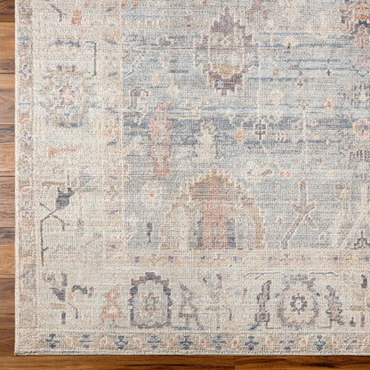 AANSHI Becki Owens x Livabliss Vintage Traditional Oriental Boho Grey/Pale Blue Area Rug Overhead