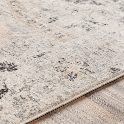 AARYA Vintage Traditional Oriental Boho Charcoal Area Rug Texture