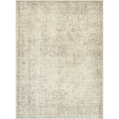AASHI Becki Owens x Livabliss Vintage Traditional Oriental Boho Sage/Cream Area Rug Flat