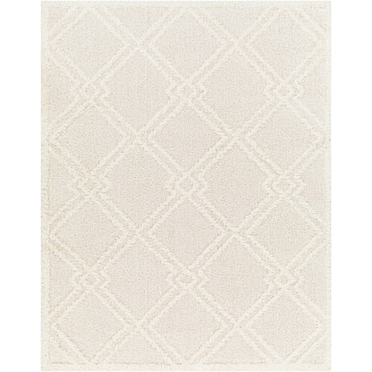 AFARIN CREEK Shaggy Modern Plush Pile Light Grey Area Rug Flat