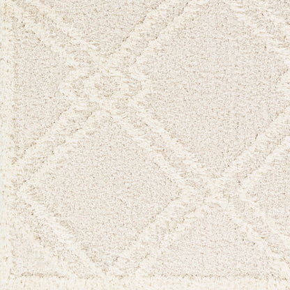 AFARIN CREEK Shaggy Modern Plush Pile Light Grey Area Rug Swatch