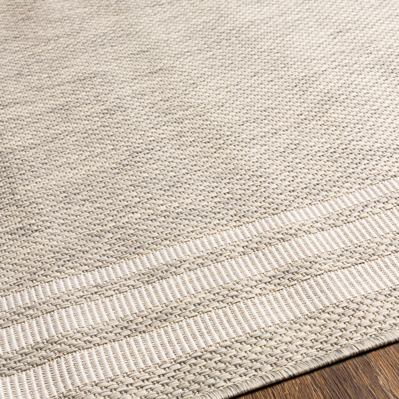 AKRITI Indoor & Outdoor Traditional Light Grey Area Rug Texture